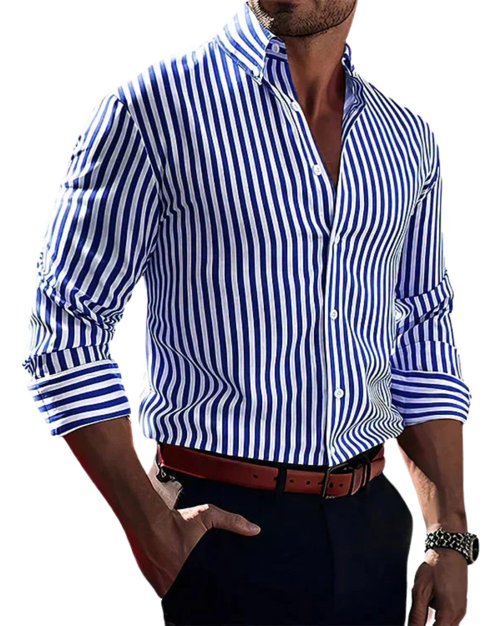 Elegant Stripe Shirt